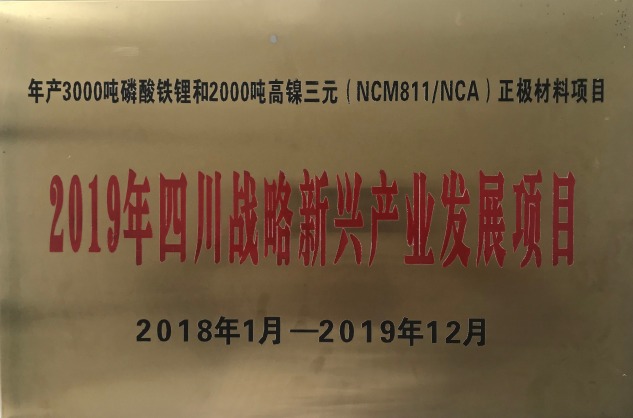 2019年四川战略新兴产业发展项目